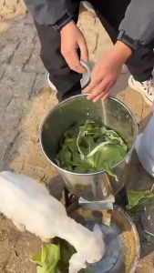 Chopper machine for feeding chickens ducks geese pigs household multifunctional electric vegetable and melon chopper