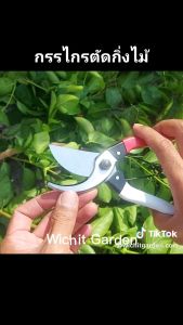 กรรไกรตัดแต่งกิ่งไม้ ความยาว8 นิ้ว จับง่ายใหญ่ถนัดมือไม่หนีบนิ้ว งานดีมีคุณภาพ