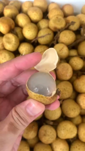 BUAH LENGKENG KELENGKENG THAILAND 500 gram 1kg RUMAH BUAH