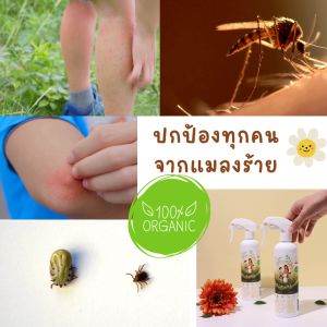 กลิ่นราคาริ้วรองกันแมลงยุง #ORGANIC100% และปลอดภัยและสุขภาพ #Mosquito Repellent Spray Anti Bug
