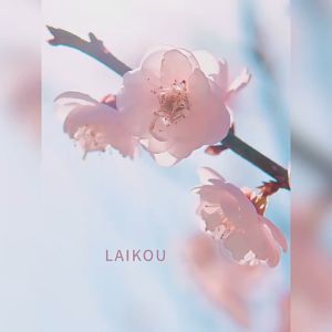 LAIKOU Japan Sakura Face Lotion Anti-aging Reduce Spots Nourishing 100ml