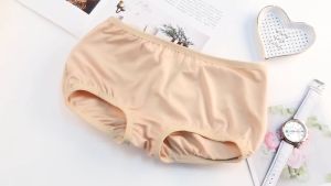 FRAN Women Low Waist Hip Padding Butt Lifting Panties Shapewear Buttocks Hip Fake Ass Pad Control Panties COD