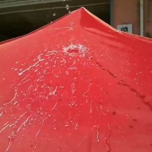 [ขายผ้าใบเท่านั้น]เต้นสนามกันฝน ผ้าเต้น2 2 เต้นท์ขายของ3 3 ผ้าเต้นท์3 3 เต็นท์พับ แข็งแรง(เต้นขายของ2 2 ผ้าเต็นท์2 3 เต้นขายของ2*2 เต้นพับได้ เตนท์ขายของ เต็นท์จอดรถ เต็นท์อเนกประสงค์ เต็นท์พับได้ เต็นท์สนาม ผ้าใบเต้นท์ 3x3 ผ้าใบเต้นท์ 2x2 ผ้าคลุมเต้น)