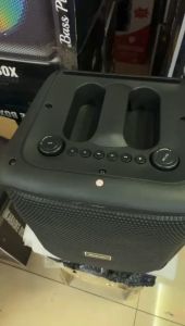 Dual Mics Bluetooth Wireless Speaker: Super Bass & Portable Karaoke Experience