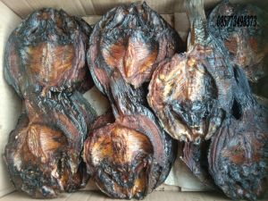 IKAN MAS ASAP/SALE 3 EKOR