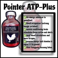 L-Carnitine Complex 100ml/for gamefowls racing pigeons
