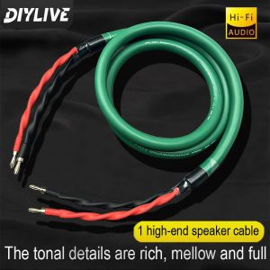 DIYLIVE HIFI Mcintosh high-end 4-core high-purity copper speaker wire speaker wire and high-end main audio cable