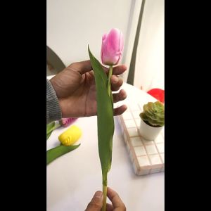 Artificial Silk Flower Tulip Latex/Bunga Tulip Palsu Real Touch Cantik