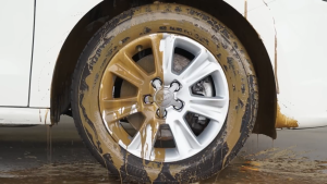 🇯🇵JAPAN IMPORTS🇸🇬 Soft99 Wheel Dust Blocker Spray Kit