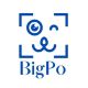 BigPo