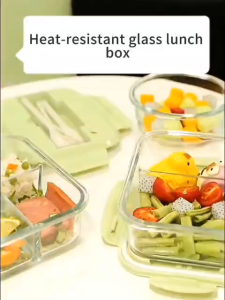 Lunch Box for adult kids 2/3 GridsThickened Leak Proof glass Microwave Safe Lunch Bento Free Fork