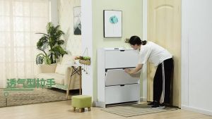 ตู้เก็บรองเท้า 10 ตู้ 2 สี เพื่อนๆ บรรจุภัณฑ์ แบบ หลาย ประหยัดพื้นที่