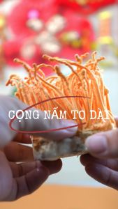 Đông Trùng Hạ Thảo Sinh Khối Tươi Thiên An giúp dễ ngủ tăng cường hệ miễn dịch tốt cho tim mạch