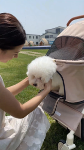 Portable Folding Pet Stroller for Dogs And Cats Lightweight Separate Breathable Cage Convenient Hand Push Cart Travel Outdoors Pet Transport