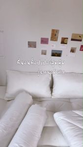 Topper ที่นอนท็อปเปอร์นอนท็อปเปอร์รุ่นหนา8นิ้ว สีพื้น ใยหนาขนห่าน 4 ชั้น มีบริการเก็บเินปลายทาง