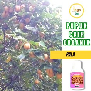 Pupuk Organik Cair Pala 100 Ml Booster Pertumbuhan Tanaman Cepat Dan Lebat By Jagotani Yogyakarta