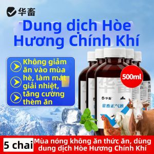 HUAXU | Dung Dịch Uống Giảm Sốt