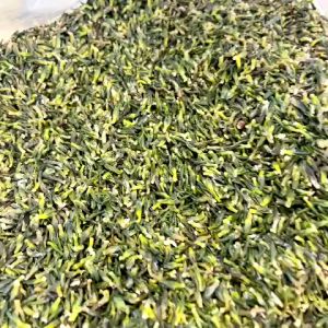 Tim Sen (Tâm sen) túi 1kg loại 1 hạt to giải pháp để có 1 giấc ngủ ngon đơn giản tại nhà