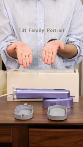 HG T31 Handheld Ironing Steamer 1300W Portable Travel Iron Clothes Quick Wrinkle Remover