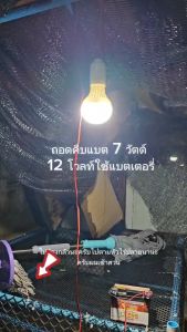 หลอดคีบแบต 12V 3U 7W หลอดคีบแบต แบบหลอดปิงปอง ต่อแบบเช่น ฟิลเลอร์ ไฟสว่าง (ใช้ไฟ 12V) แสงขาว