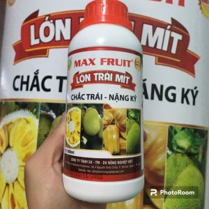 Phân bón MAX FRUIT LỚN TRÁI MÍT. CHAI 500ML