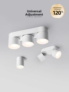 DENGFU | Adjustable Angle Ceiling Downlight
