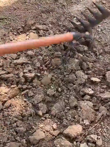 จัดส่งฟรี 👍ใช้งานได้นาน100ปี👍 8ฟัน คราดถอนวัชพืช คราด คราดเก็บหญ้า คาดหญ้าเหล็ก คราดมีด้ามใช้ขุดดินขุ่นถางหญ้าดายหญ้า คาดหญ้าเหล็ก คราดถากหญ้า คาดหญ้า คราดเหล็ก คาดหญ้าเหล็ก คราดมีด้าม ใช้ขุดดิน ขุ่นถาง อย่างดี เหล็กหนา ใช้ได้นาน