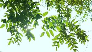 COD+Local+ReadyStock Metar Handheld Portable Turbo Cooling Fan Digital Display Air Conditioner Refrigeration Fan 4800mAh USB Rechargeable Personal Battery Operated Fan with (1-100) Adjustable Speeds