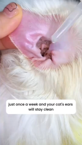 Pet Ear Cleaner (60ml / Bottle) Dogs Cats Ear Drop cleaner ear Mites Solution Ear Odor Removal