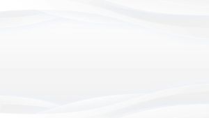 ต้นพันธุ์บัวลูกผสม ม่วงมงคล