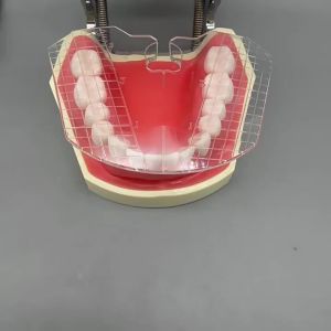 1Pc Dental Guide Plate Denture Teeth Arrangement Instrument Oral Measuring Ruler Complete Denture Alignment Measurement Tool