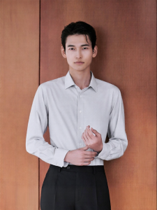 Washable Silk Business Dress Shirt Mens