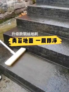 Stainless Steel Wire Floor Scrub Brush with HandleStiff Bristle Brush for GaragePatioGarden Moss