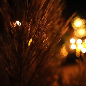 Dây Đèn LED Hình Pháo Hoa Trang Trí Giáng Sinh LE20