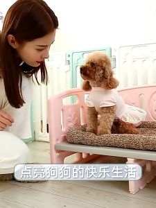 Waterproof Pet Bed With Storage Box Elevated Dog Bed Washable Cat Bed Moisture Proof Dog Bed Cooling