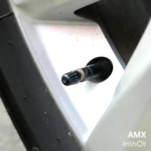 4Pcs Set Car Wheel Tire Tyre Valve Stem Air Caps Car Cover Styling Proton