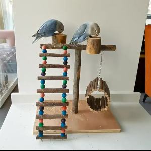 Solid Wood Parrot Stand Training Bird Stand Parrot Toys Desktop Training Stand Pole Interactive Playground Small Pet supplies