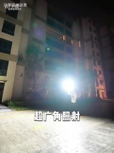 Maiyu | Super Bright High Power Induction Street Light