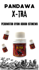 Pandawa x Tra 175 Pill: Perawatan Ayam Laga