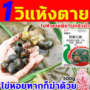 Product name: 1ปีไม่มีหอยทาก ยาฆ่าหอยทาก 500g โรยตรง สะดวกกว่า กำจัดหอย ไม่ทำลายพืช ไข่หอยทากก็ฆ่าด้วย ยาฆ่าหอย เห็นผล 100% หอยทากไม่เกิดซ้ำ เข้มข้นสุดๆ เมทัลดีไฮด์ ยากำจัดหอยทาก ยาฆ่าหอยเชอรี่ ยากำจัดหอย เหยื่อหอยอยู่ในรูปเหยื่อชนิดเม็ดอ
