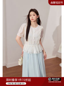 Plus Size Embroidered Mesh Spliced Top with Skirt