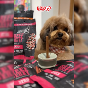 Absolute Holistic Grain Freee Jerky Dog Treats 100g | Oven Baked Treats (8 Flavours & 6 Shapes)