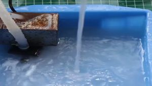 Đĩa phíp mài đánh bóng đá quý ngọc bích cẩm thạch mã não ngọc bích đá hoa cương size 25mm.