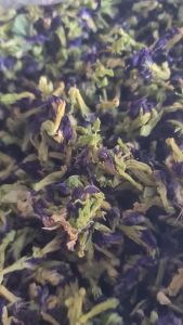 Bunga Telang Kering Premium Berkualitas Tisse Telang Teh Biru Elektrik Organik Pewarna Biru Alami Makanan Minuman Teh Herbal Telang
