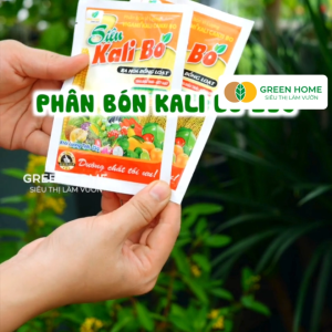 5 Gói Phân Bón Kali Bo Greenhome Gói 25g Kích Thích Ra Hoa Giảm Rụng Trại Non Nuôi Quả To Chắc Ruột Tăng Độ Ngọt