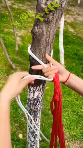 Võng Du Lịch Gấp Gọn – Vải Cotton Canvas Bền Đẹp Phù Hợp Mọi Chuyến Đi