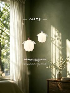 PAIMIJI | French Vintage Style Elevatable Full Spectrum Eye-Protective Hanging Light