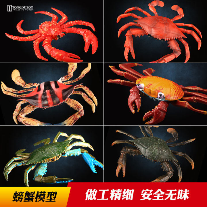TongDe Crab Model Marine Animal Toy Children's Realistic Bottom-Dwelling Bivalve Shellfish Toy Plastic Static Animal Model