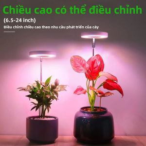 Đèn LED Phát Triển Cây Trong Nhà Cao Cấp Ánh Sáng Quang Phổ Đầy Đủ Với Điều Chỉnh Độ Cao Mờ 4 Cấp Độ Và Hẹn Giờ 2/4/8H Để Chăm Sóc Cây Nhỏ