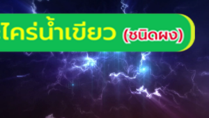 500 กรัม กำจัดตะไคร่ผง Aqua Algae (ชนิดผง) หรือ 500 มกลิ่น ปลอดภัย ผู้หญิงและเด็ดสมุนฆที่น่าเชื่อถือ